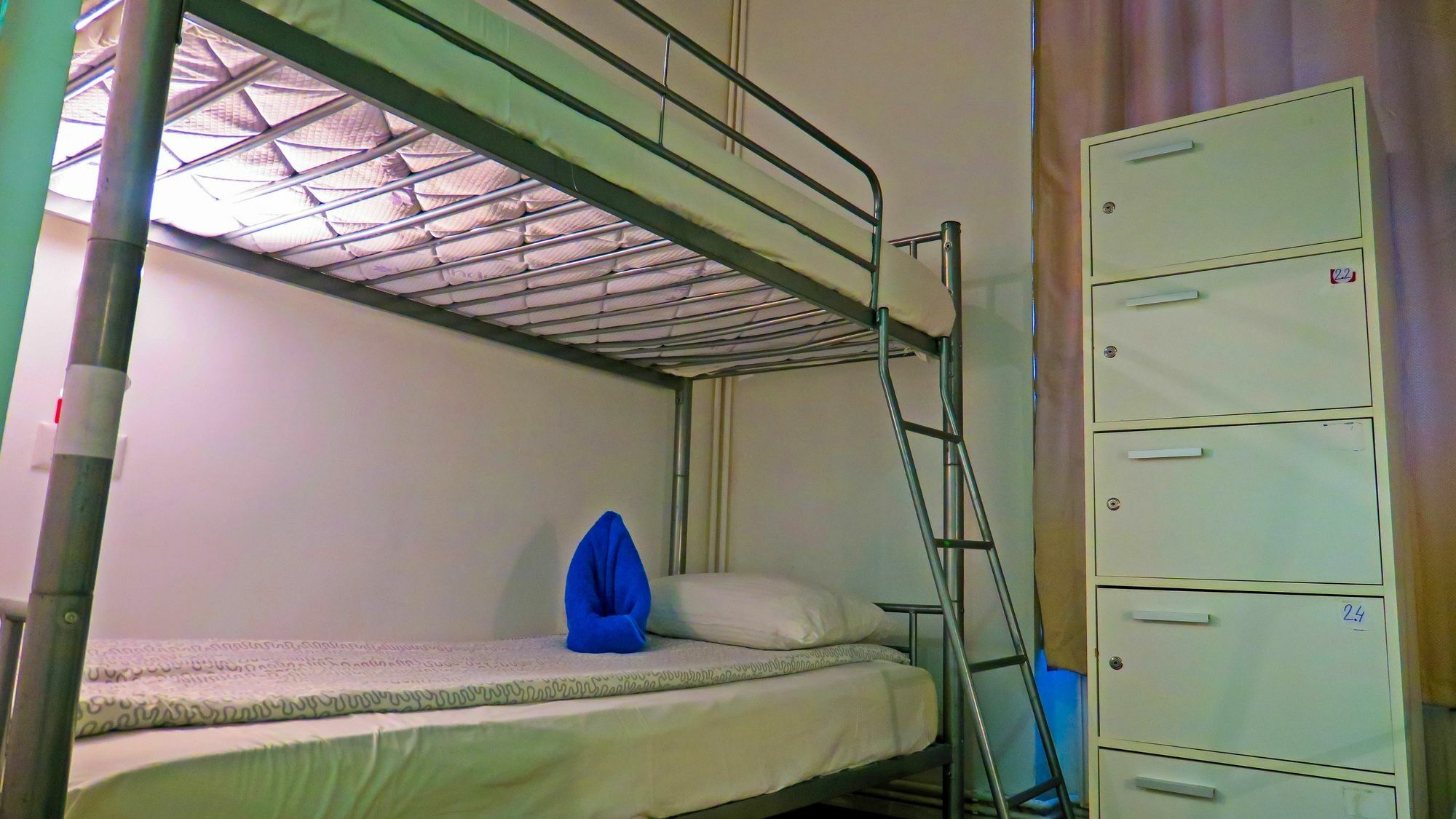 The Evil Clown Hostel Brasov Bagian luar foto